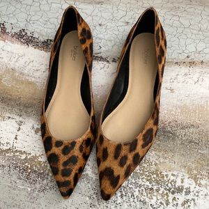 Botkier women’s Annika pointy toe Leopard Flat